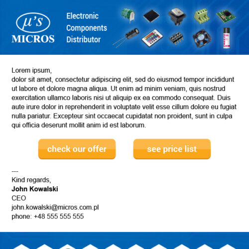 Micros – Newsletter Export